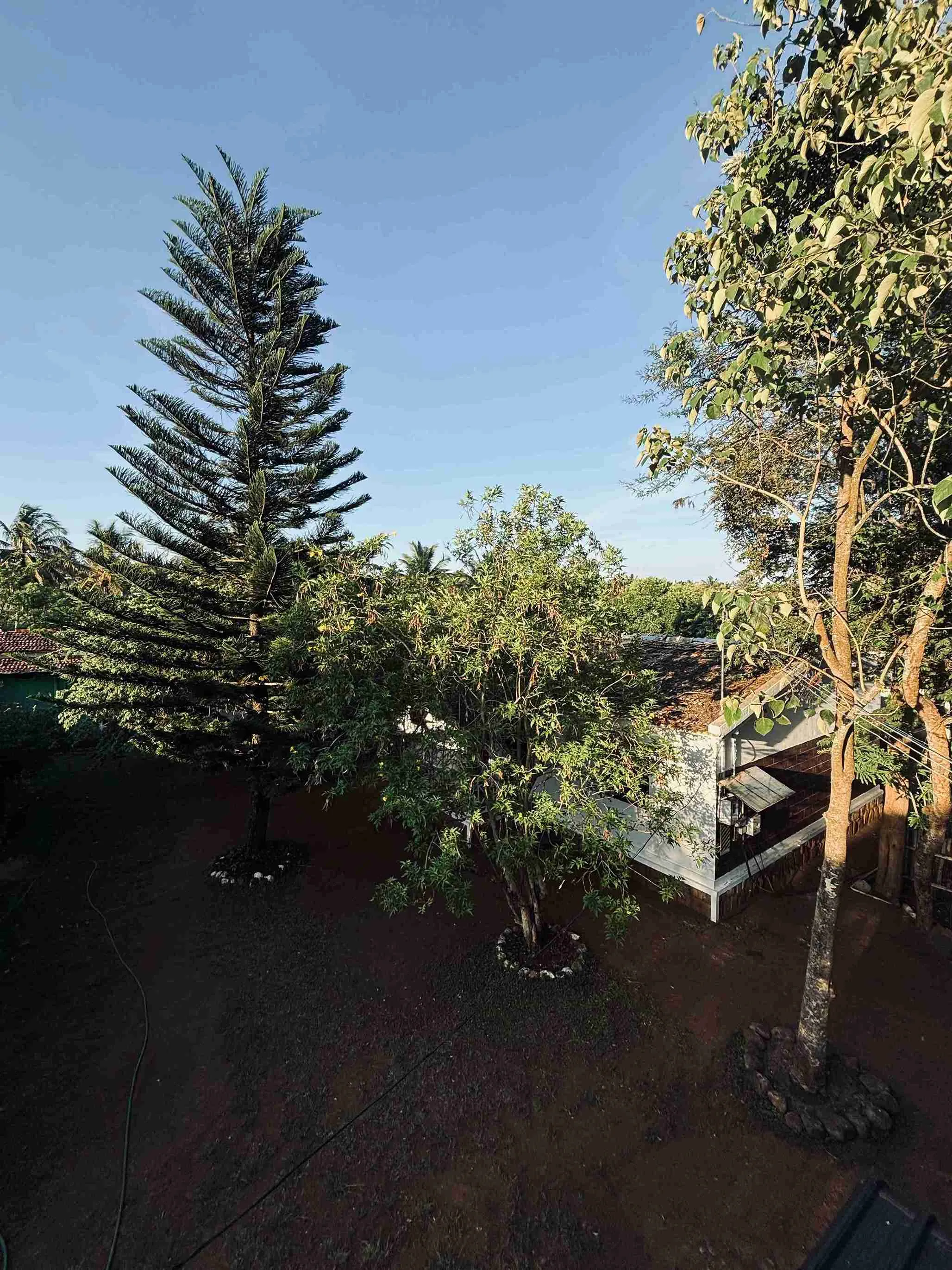 Family Room (White House)